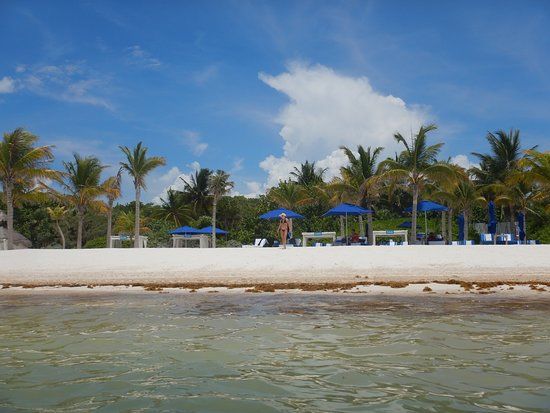 el SAYAB Planetario de Playa del Carmen